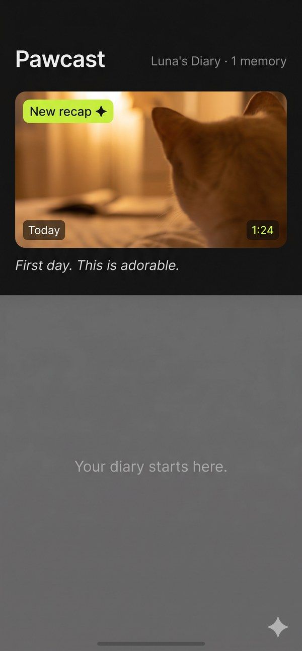 Pawcast app — Day 1 diary, one cat video entry, warm golden light, empty state below
