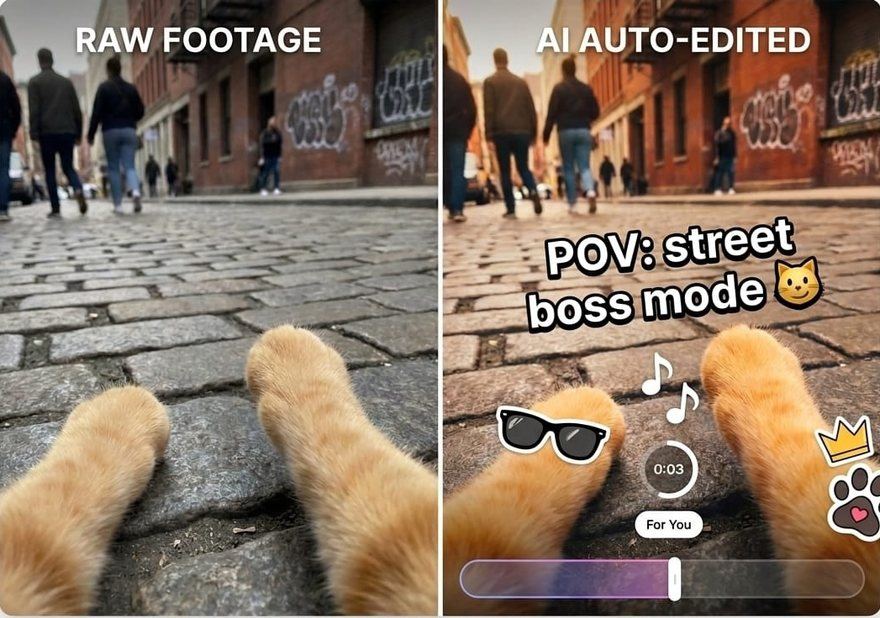 Raw footage versus AI auto-edited side by side showing pet POV footage