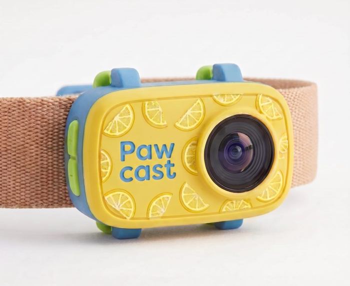 Pawcast camera in Lemon Squeeze colourway on collar
